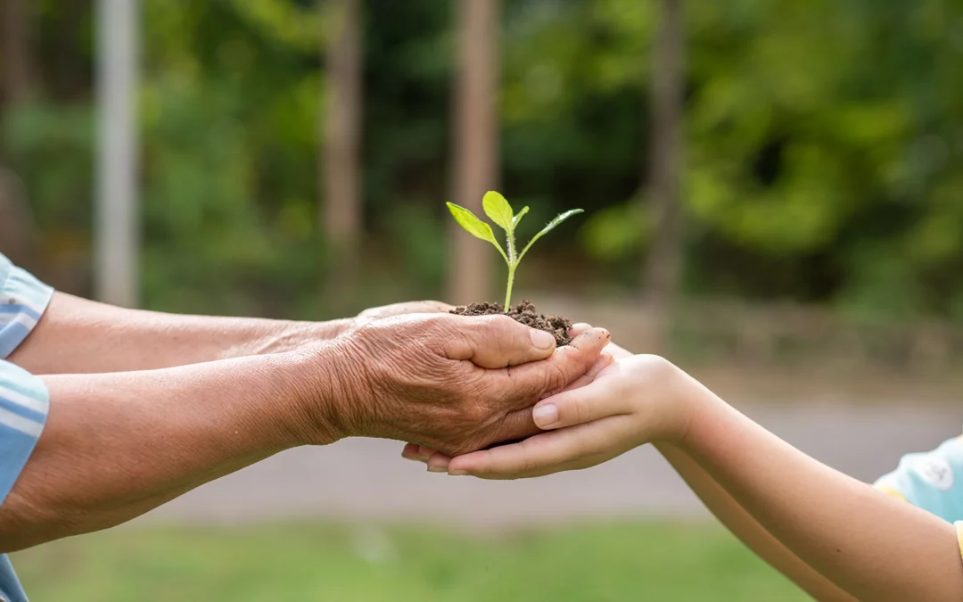 Politique environnementale