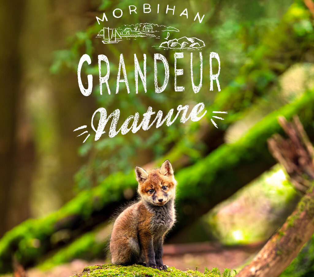 Morbihan Grandeur Nature Affiche